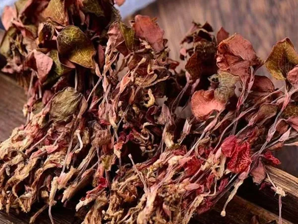 Anoectochilus Roxburghii seco de calidad superior llega a los mercados especializados
