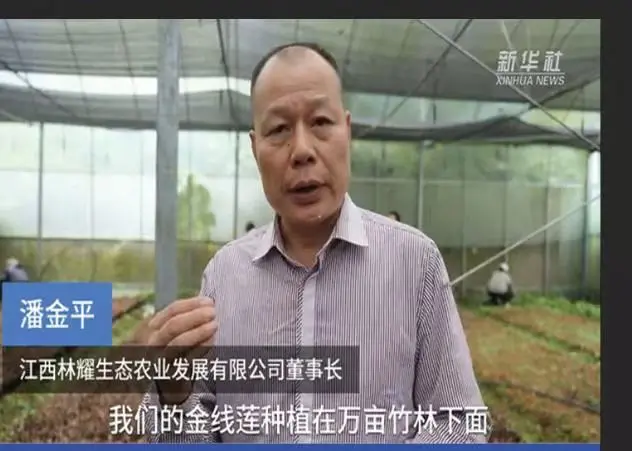 Pan Jinping, presidente de Jiangxi Linyao Ecoological Agriculture Development Co., Ltd., entrevistado por la agencia de noticias Xinhua