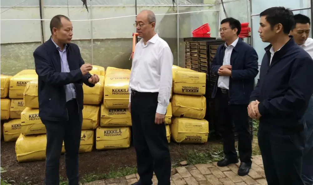 Xie Guanghua, secretario del Partido y director de la Administración Provincial de Medicina Tradicional China de Jiangxi, realiza una investigación en la base de plantación de Anoectochilus