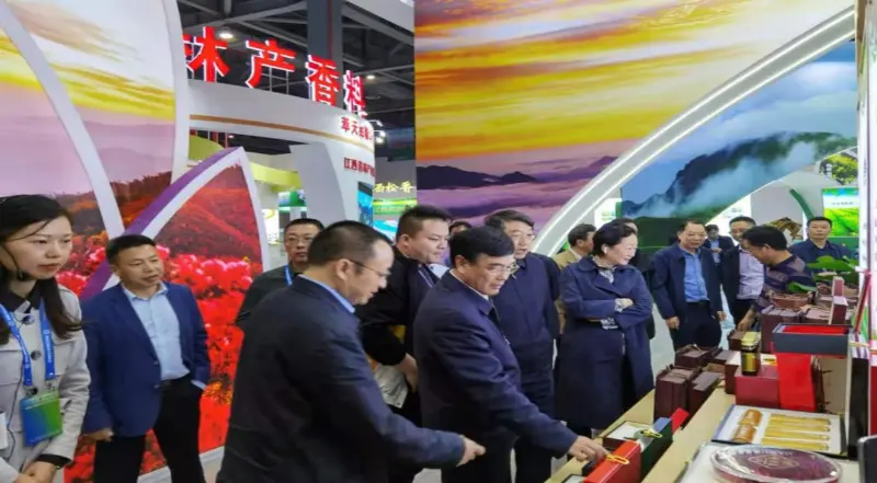 Líderes de la Administración Nacional de Silvicultura y Pastizales y la Oficina Forestal Provincial de Jiangxi inspeccionan nuestro stand en la Exposición Forestal Provincial